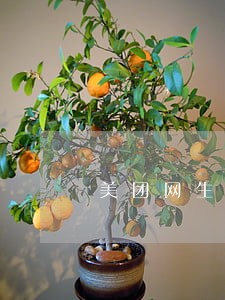 美团网生活费逾期 美团网生活费逾期