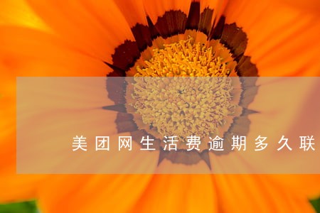 美团网生活费逾期多久联系家人 美团网生活费逾期多久联系家人