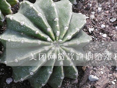 美团网贷款逾期给涨利息一半