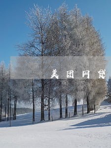 美团网贷逾期110会上门吗 美团网贷逾期110会上门吗