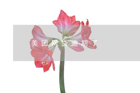 美团网贷逾期了 美团网贷逾期了