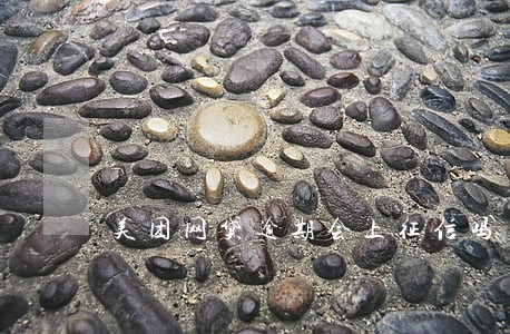 美团网贷逾期会上征信吗 美团网贷逾期会上征信吗