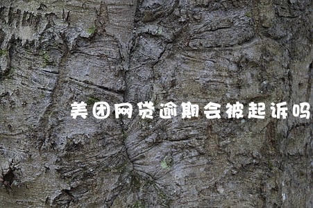 美团网贷逾期会被起诉吗 美团网贷逾期会被起诉吗