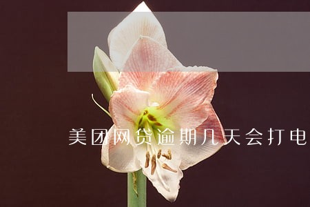 美团网贷逾期几天会打电话 美团网贷逾期几天会打电话