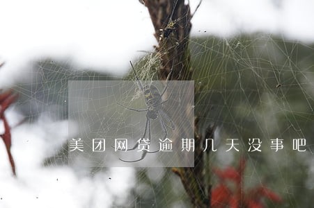 美团网贷逾期几天没事吧 美团网贷逾期几天没事吧