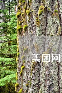 美团网贷逾期发短信发车牌 美团网贷逾期发短信发车牌