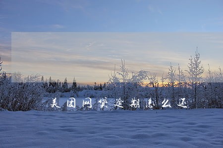 美团网贷逾期怎么还 美团网贷逾期怎么还