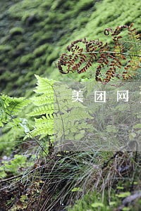 美团网贷逾期短信通知出庭 美团网贷逾期短信通知出庭