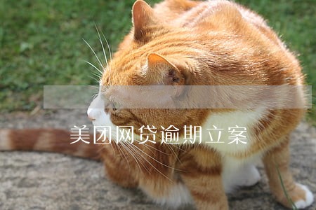 美团网贷逾期立案