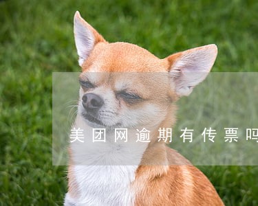 美团网逾期有传票吗 美团网逾期有传票吗