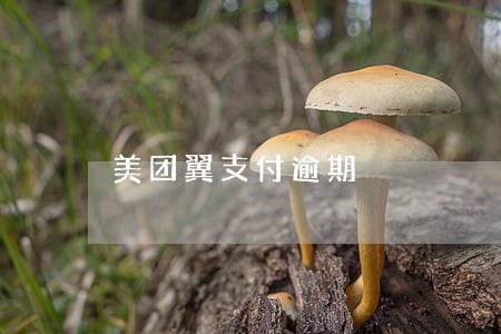 美团翼支付逾期 美团翼支付逾期