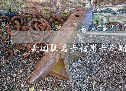 美团联名卡信用卡逾期