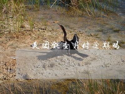 美团能查月付逾期吗 美团能查月付逾期吗