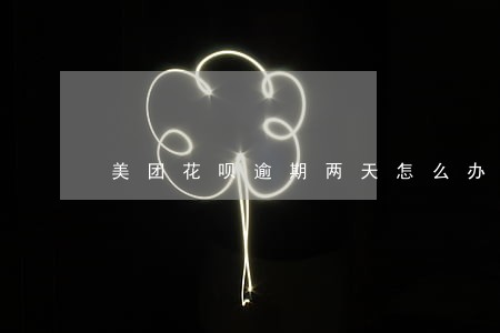美团花呗逾期两天怎么办 美团花呗逾期两天怎么办