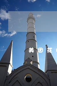 美团花呗逾期了 美团花呗逾期了