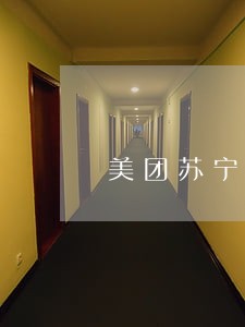 美团苏宁贷逾期还不上怎么办 美团苏宁贷逾期还不上怎么办