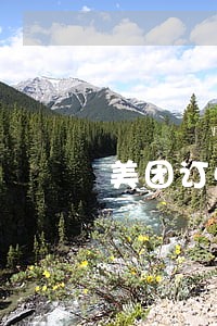 美团订单逾期不可退 美团订单逾期不可退