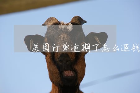 美团订单逾期了怎么退钱 美团订单逾期了怎么退钱