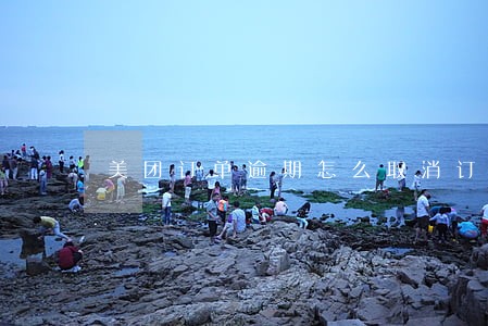 美团订单逾期怎么取消订单 美团订单逾期怎么取消订单