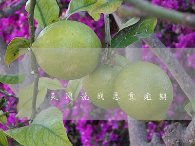 美团说我恶意逾期 美团说我恶意逾期