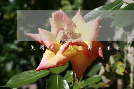 美团说要贴逾期公告在村委会 美团说要贴逾期公告在村委会