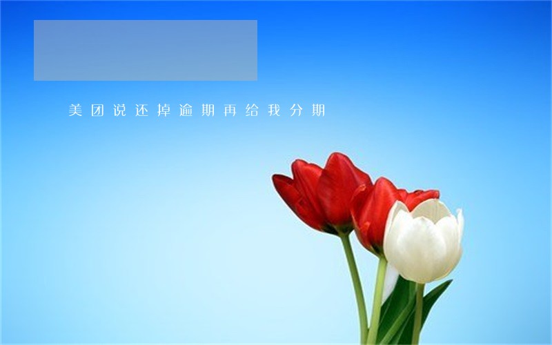 美团说还掉逾期再给我分期