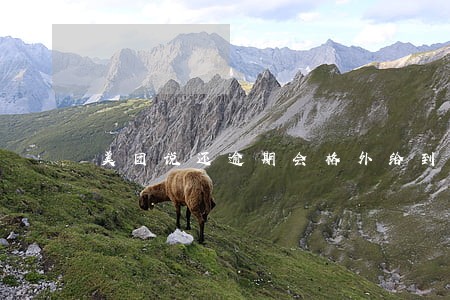 美团说还逾期会格外给到额度