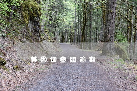 美团调查组逾期 美团调查组逾期