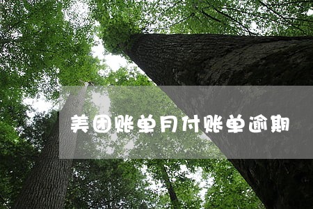 美团账单月付账单逾期 美团账单月付账单逾期