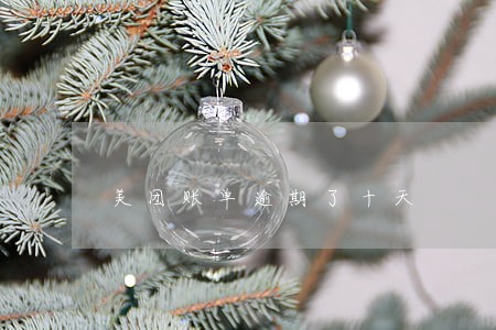 美团账单逾期了十天 美团账单逾期了十天