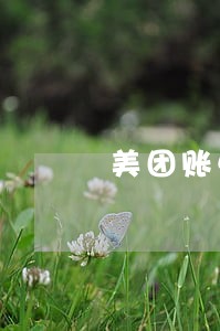 美团账单逾期了怎么办 美团账单逾期了怎么办