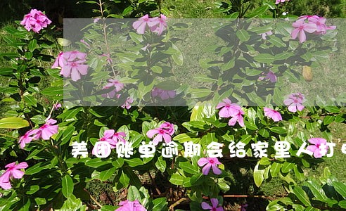 美团账单逾期会给家里人打电话吗 美团账单逾期会给家里人打电话吗