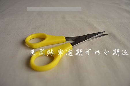 美团账单逾期可以分期还款吗 美团账单逾期可以分期还款吗