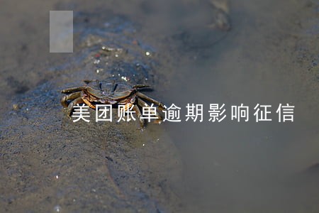 美团账单逾期影响征信 美团账单逾期影响征信