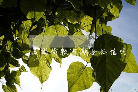 美团货款逾期会征信吗 美团货款逾期会征信吗