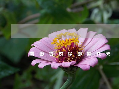 美团贷可以逾期几天