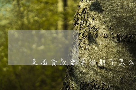 美团贷款要是逾期了怎么办 美团贷款要是逾期了怎么办