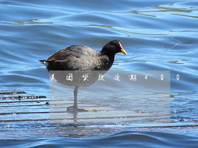 美团贷款逾期400