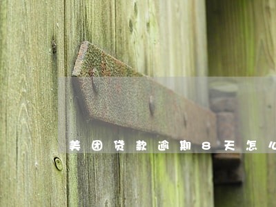 美团贷款逾期8天怎么办 美团贷款逾期8天怎么办