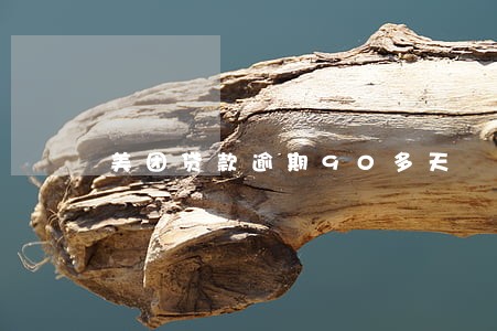 美团贷款逾期90多天 美团贷款逾期90多天