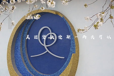 美团贷款逾期一两天可以吗 美团贷款逾期一两天可以吗