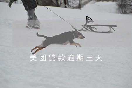 美团贷款逾期三天 美团贷款逾期三天