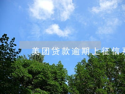 美团贷款逾期上征信系统 美团贷款逾期上征信系统