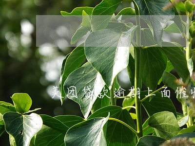 美团贷款逾期上面催收 美团贷款逾期上面催收