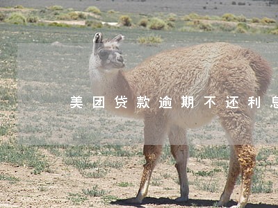 美团贷款逾期不还利息怎么算 美团贷款逾期不还利息怎么算