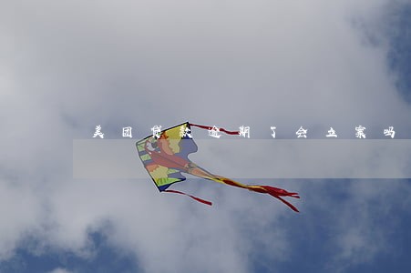 美团贷款逾期了会立案吗