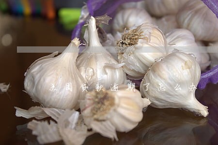 美团贷款逾期了怎么办 美团贷款逾期了怎么办