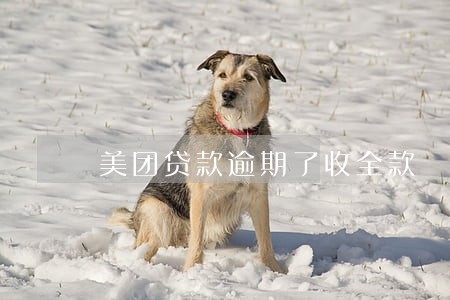 美团贷款逾期了收全款 美团贷款逾期了收全款