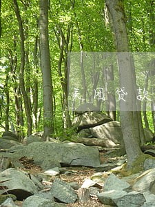 美团贷款逾期会被暴力催收吗 美团贷款逾期会被暴力催收吗