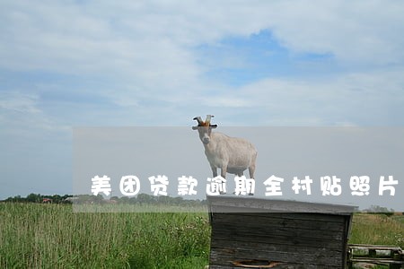美团贷款逾期全村贴照片 美团贷款逾期全村贴照片